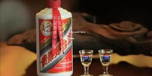 53℃陈年贵州茅台酒15(贵州茅台15年陈酿)