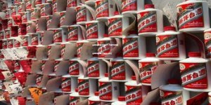 小糊涂仙酒52度500毫升价格(小糊涂仙酒53度多少钱)