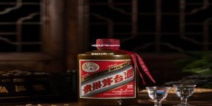 中国酱香型酒最好的几种类型是(中国的酱香型酒有哪几个品牌)