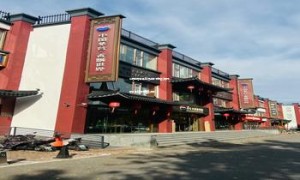 中国的酱香型白酒品牌有哪些(国内酱香型白酒有哪些品牌)