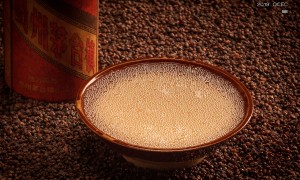 贵州大曲生肖酒：25升珍藏版，生肖传奇品鉴之旅